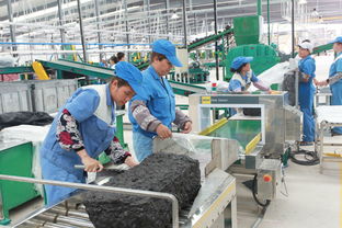 海南中化橡胶二厂建成试产