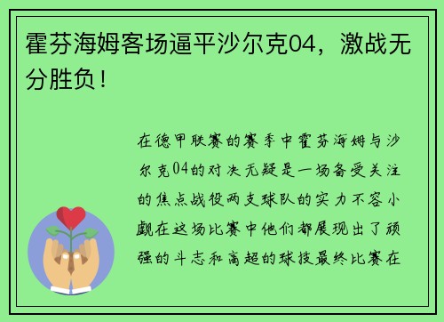 霍芬海姆客场逼平沙尔克04，激战无分胜负！